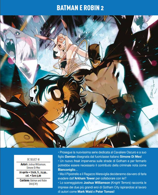 BATMAN E ROBIN 2
