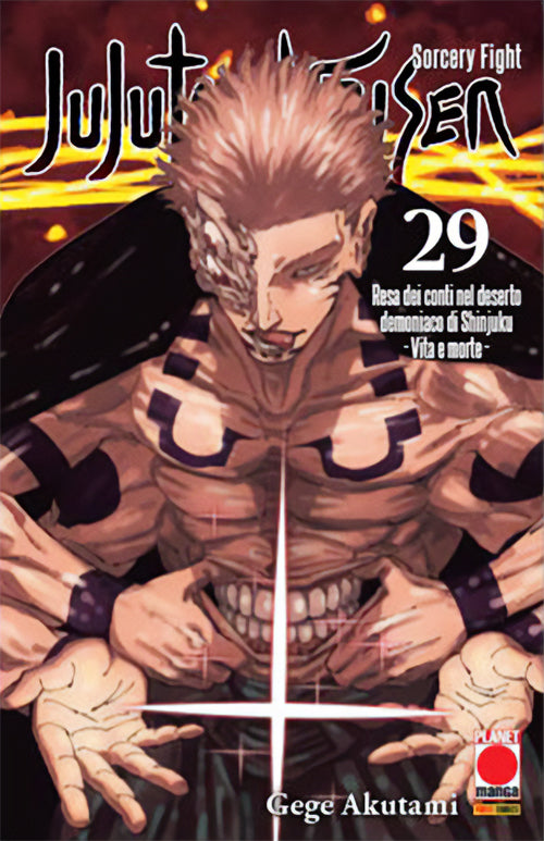 JUJUTSU KAISEN 29