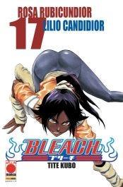 BLEACH 17