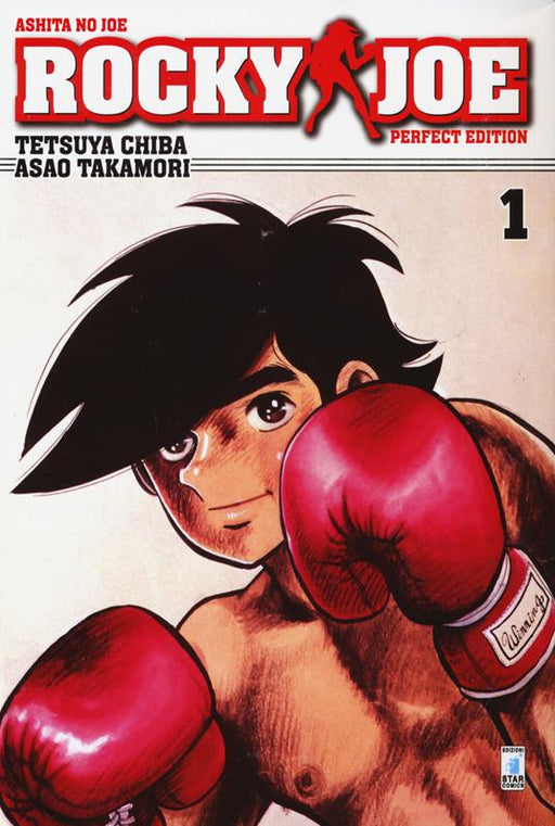 ROCKY JOE PERFECT EDITION 1 (DI 13)