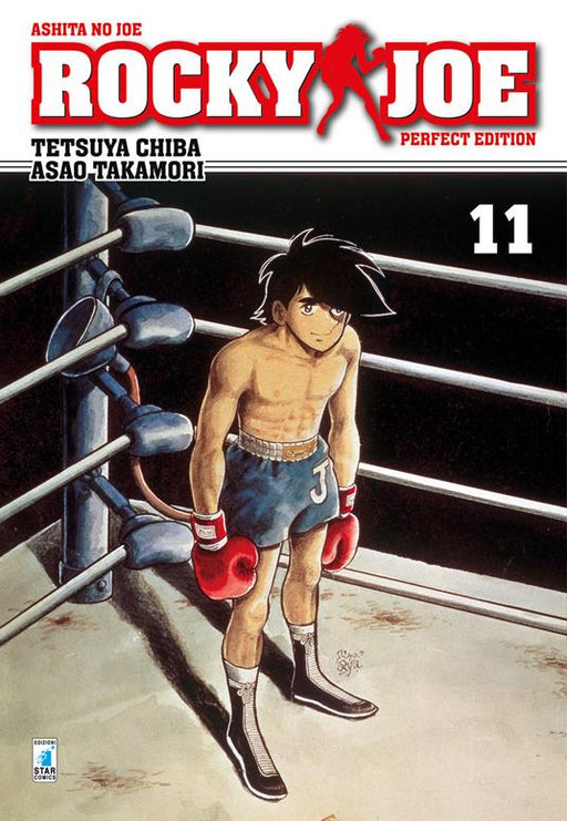 ROCKY JOE PERFECT EDITION 11 (DI 13)