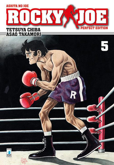 ROCKY JOE PERFECT EDITION 5 (DI 13)