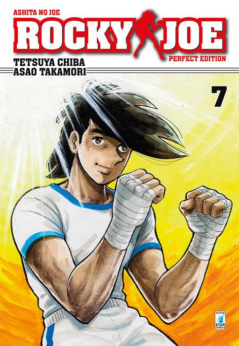 ROCKY JOE PERFECT EDITION 7 (DI 13)